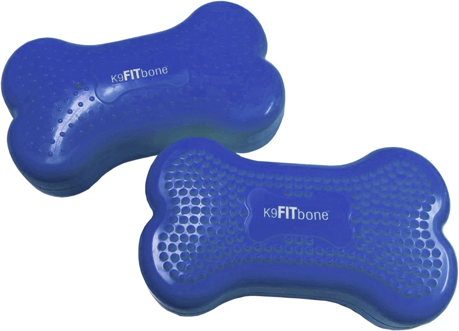 FitPaws bone mini, set of 2, Blue